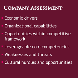 Company Assessment