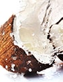 Coconut and Plant Water in the U.S.